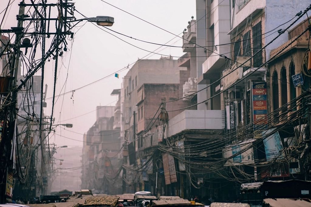 गाजीपुर की गो ग्रीन नर्सरी में मिल रहे पुणे के हाइब्रिड गुलाब, कीमत 150-170 रुपये